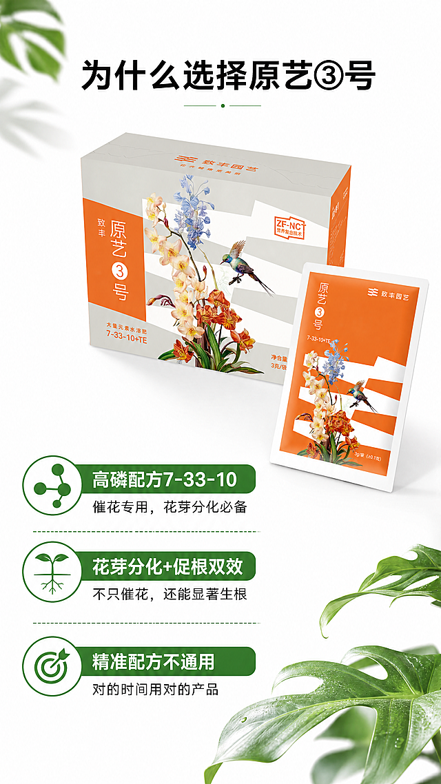 [第2屏] 核心差异化卖点展示，原艺③号促花专用水溶肥。
[氛围/风格] 清晰专业风，白色背景搭配绿色元素，干净通透，商业信息展示清晰。
[元素布局] 使用图3作为产品展示，产品包装盒和独立小袋斜放在画面右上区域，占据画面约50%主体，保持产品包装外观、结构、颜色和文字与输入图完全一致。左下区域为卖点图文展示区，分三点排列核心差异化卖点。
[光影质感] 均匀柔和布光，产品和文字都清晰明亮，阴影过渡自然，产品边缘轮廓清晰真实。
[配色色系] 全局底色：#ffffff（纯白）；主体配色：产品原有灰橙配色+#2e7d32（深绿）；辅助色：#ff9800（橙色高亮）。
[视角构图] 右上产品+左下文案的经典组合，适合手机竖屏阅读，信息分区清晰，互不遮挡。
[文字版式] 顶部大标题「为什么选择原艺③号」，黑色加粗，居中排列。左下区域分三点展示：
第一点标题「高磷配方7-33-10」，副标题「催花专用，花芽分化必备」
第二点标题「花芽分化+促根双效」，副标题「不只催花，还能显著生根」
第三点标题「精准配方不通用」，副标题「对的时间用对的产品」
每一点使用深绿色圆角矩形标题框，白色标题文字，黑色说明文字，层级清晰，不遮挡产品。
[比例分辨率] 9:16竖版比例，4K分辨率，文字清晰可辨，超高清。
[负向提示词] 产品包装变形，文字模糊，文字错乱，颜色偏差，缺件错件，结构错误，水印，背景杂乱，违规表达。