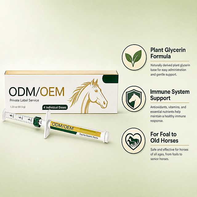 Equine immune paste key benefits infographic. Light soft green gradient background. Product box and syringe on left side, clear and sharp. Three circular feature icons on the right with text labels. Top icon: plant leaf symbol with text "Plant Glycerin Formula". Middle icon: shield with horse silhouette with text "Immune System Support". Bottom icon: heart with foal and adult horse with text "For Foal to Old Horses". Each icon has a short description line below. Keep product appearance absolutely consistent with reference image. Professional clean layout, modern sans-serif typography in dark green and gold. Balanced composition, product occupies about 50% of frame. Commercial product photography style, soft studio lighting.