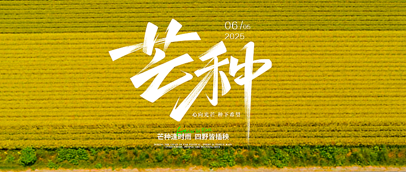 芒种节气祝福通用公众号首图