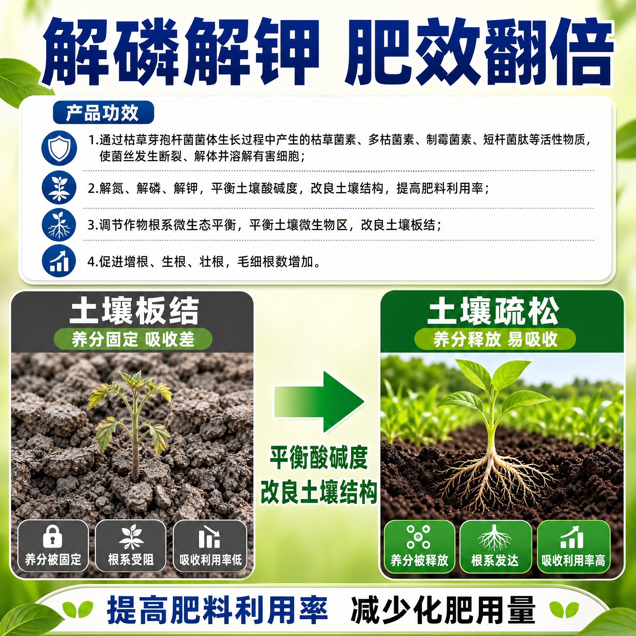 [主图-6] 解磷解钾 提高肥效图。 [统一基调] 拼多多风格… - 图片创意预览