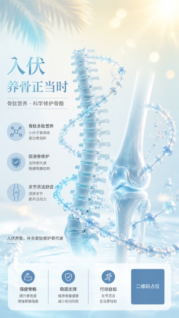 8K 超高清，OC 渲染，黏土柔和质感，CMYK 商用印刷色域，9:16 竖版医疗科普海报，主题入伏时节骨骼修护、骨肽营养调理骨骼，画面中心人体脊柱、膝关节骨骼解剖示意图，通透浅淡蓝色骨骼模型，分子肽预览效果