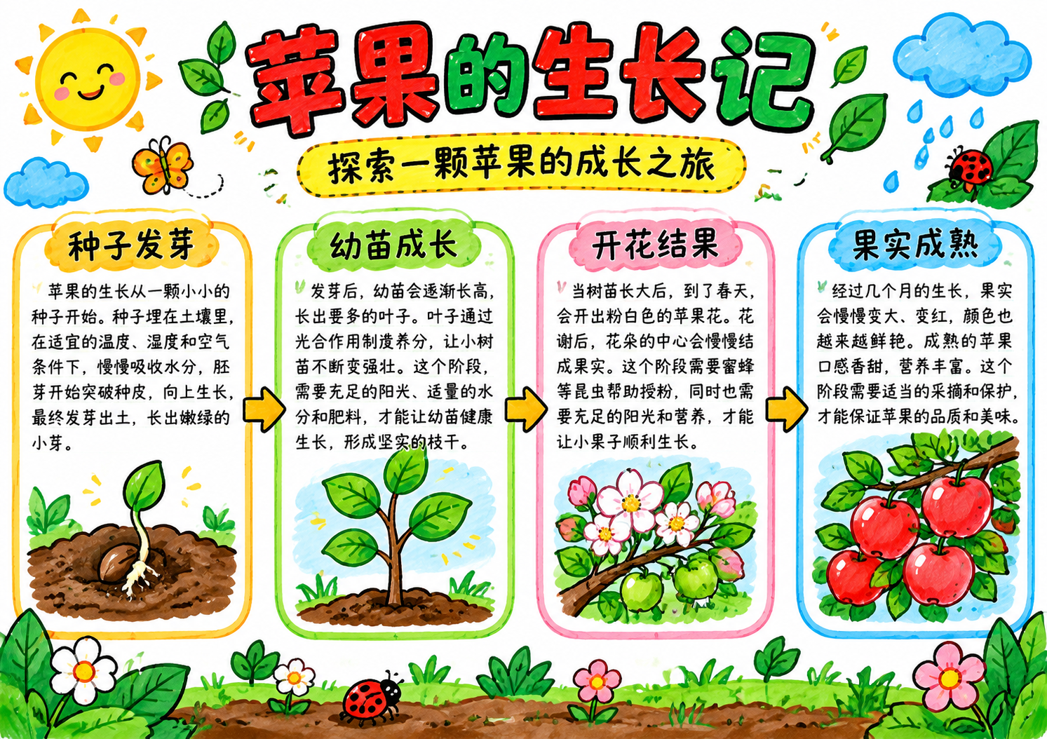 苹果生长记主题手抄报，马克笔手绘风格，白色底纸，横版A4尺寸。… - 图片创意预览