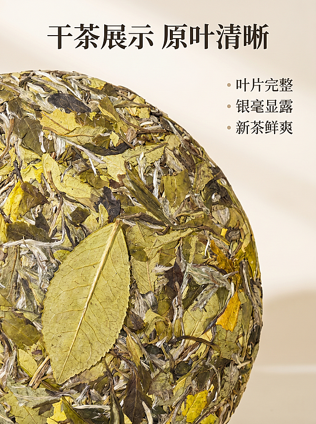 [详情页第三屏] 干茶细节展示
[氛围风格] 微距特写，突出新茶天然原叶品质
[画质] 商业摄影质感、光线柔和通透、纹理清晰真实、画面干净高级
[元素] 白牡丹干茶叶微距特写，完整展示叶片自然形态和银毫，黄绿叶片脉络清晰可见，背景简洁突出主体，保持干茶叶自然颜色和纹理与原图一致，杜绝变形色差
[光影] 侧光打亮叶片纹理和银毫，通透自然，明暗层次突出细节
[配色] 自然黄绿银白为主，浅素背景突出茶叶
[文字版式] 顶部标题「干茶展示 原叶清晰」，左侧特写右侧文字说明，分点讲解叶片完整，银毫显露，新茶鲜爽，文字不遮挡主体特写
[比例分辨率] 3:4比例，2k分辨率，文字清晰可辨，超高清
[负向提示词] 变形，水印，文字错乱，茶叶模糊，背景杂乱，文字遮挡主体