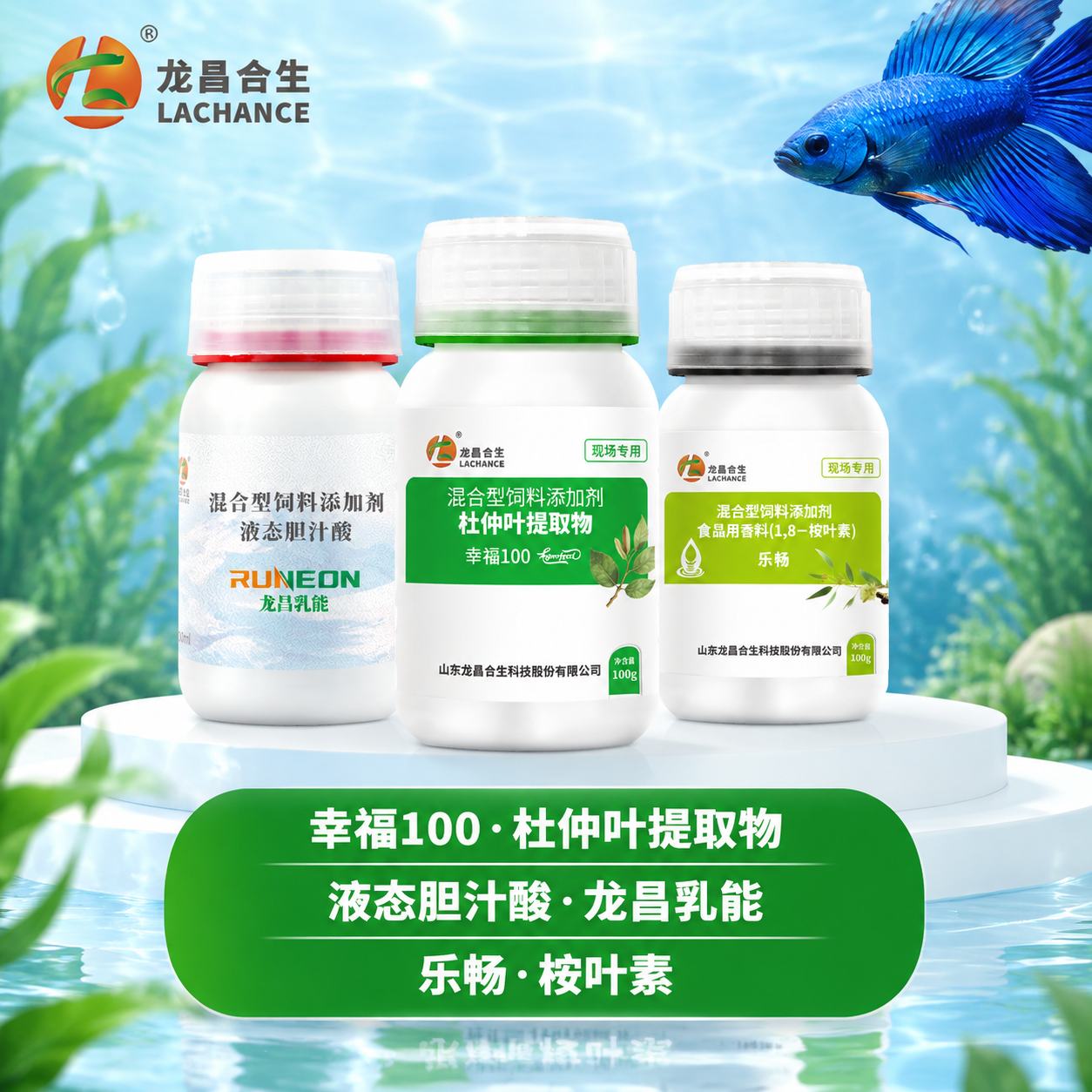 [主图-版本4] 水族套餐场景化创意图，简约风格，与首图尺寸相… - 图片创意预览