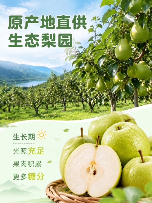预览效果