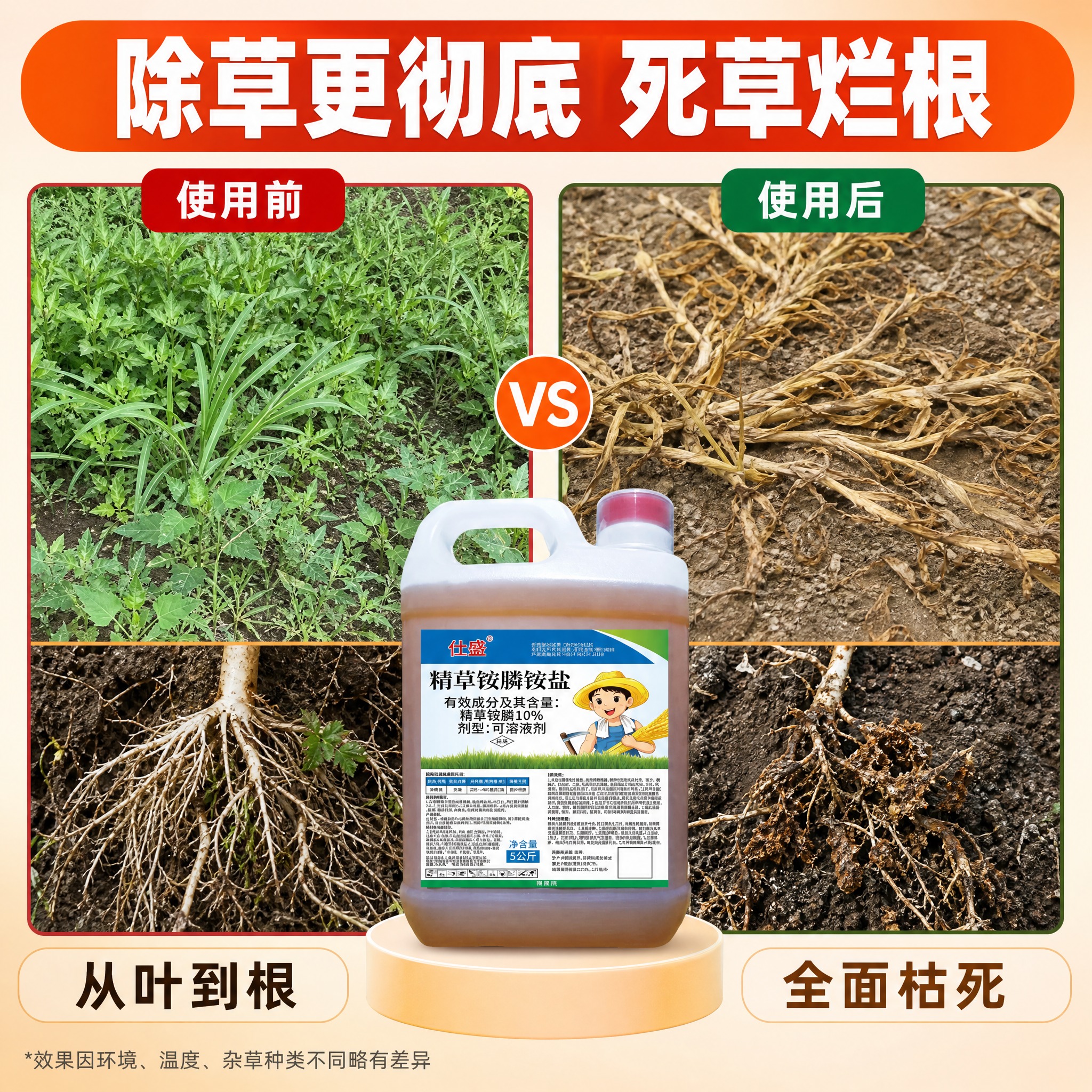 [主图-3] 除草更彻底效果证明，前后对比。 [统一基调] 京… - 图片创意预览
