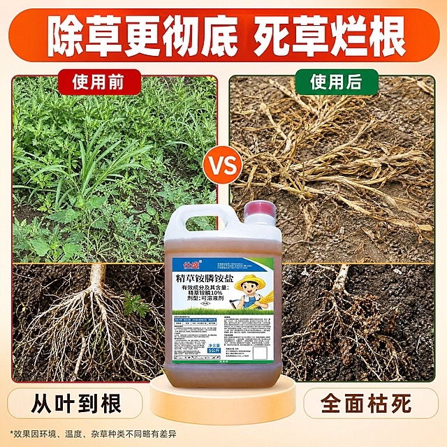 [主图-3] 除草更彻底效果证明，前后对比。
[统一基调] 京东品质稳重风，简洁清晰，文字占比<30%，一图一重点；主色橙白+深绿，背景米白浅橙渐变，标题橙红色粗黑体，辅助字深灰。
[画面] 左右分栏对比。左侧"使用前"：杂草密集茂盛，根系发达。右侧"使用后"：杂草枯黄倒伏，根部枯死腐烂。产品壶体放在底部中央，占画面约25%，正面展示。
[光影质感] 对比图为真实地面杂草摄影，细节清晰，产品影棚柔光质感，整体光线明亮自然。
[配色] 对比图真实场景色，背景浅橙，标题白色配橙红底条，使用前红标，使用后绿标。
[文字版式] 顶部通栏标题"除草更彻底 死草烂根"，左右图上方标注"使用前""使用后"，产品下方小字"从叶到根 全面枯死"，文字清晰有条理。
[输出要求] 1:1正方形，2048x2048，对比真实，产品清晰，文字可读，无水印无平台Logo。