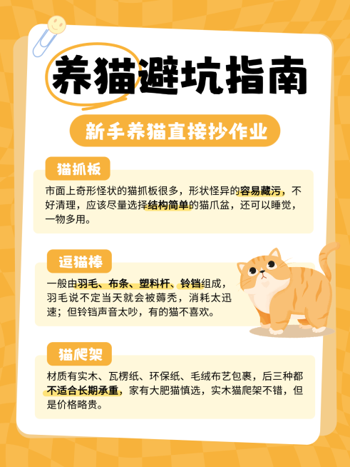 橙色卡通养猫避坑指南知识分享小红书配图预览效果