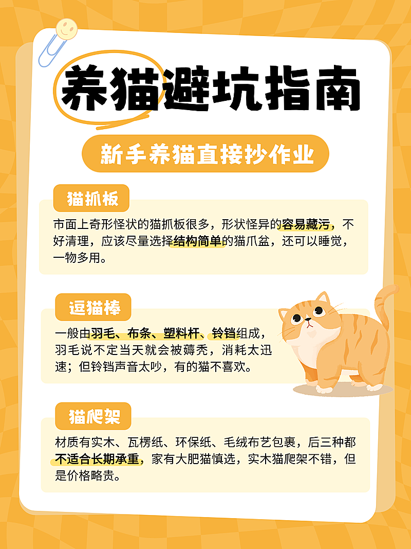 橙色卡通养猫避坑指南知识分享小红书配图