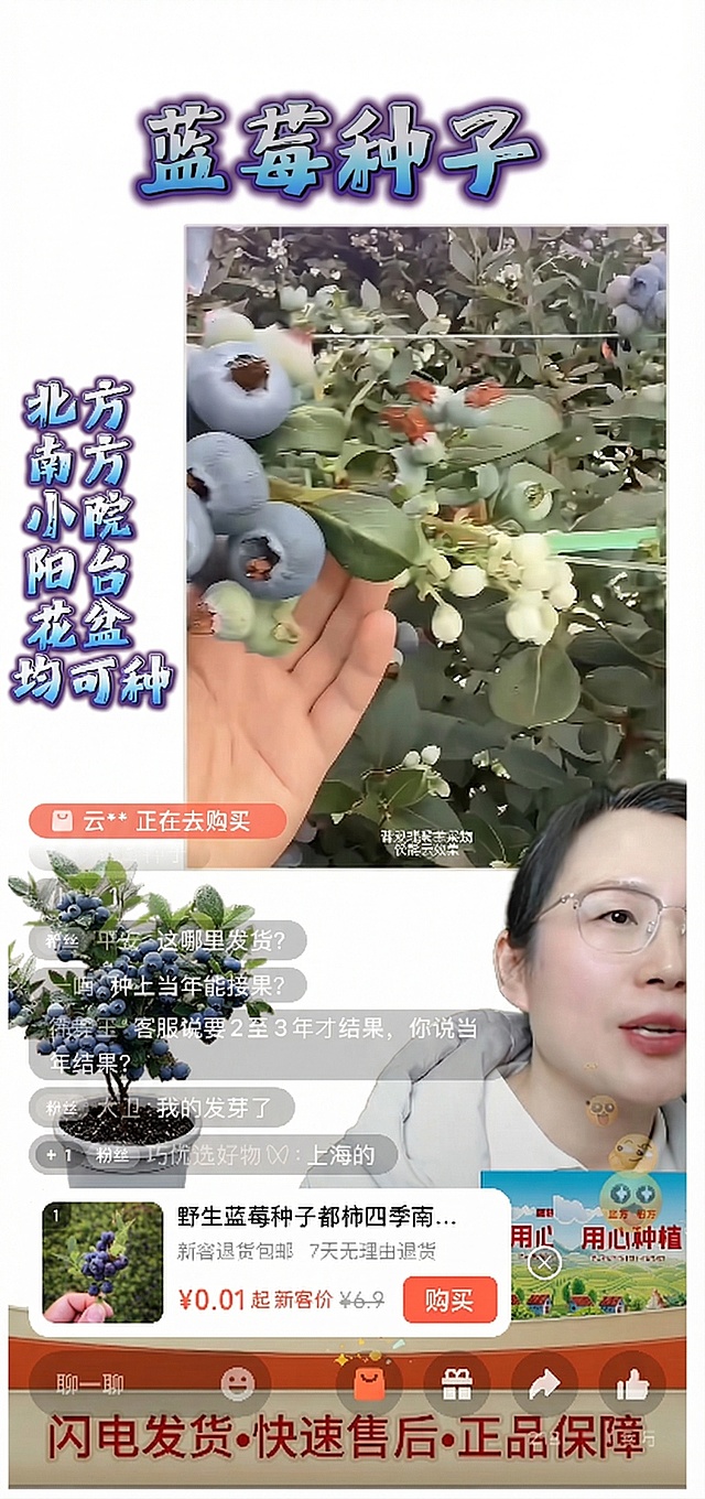 提取图中的“蓝莓种子”以及“北方 南方 小院 阳台 均可种”文字，放置在纯白色背景的图片中，保留文字原有样式