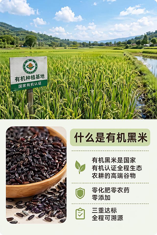 具备新媒体传播属性、美观性、商业推广性。

1.制作平台（任选其结合端午助农、乡村振兴热点，制作洋县有机黑米品牌科普商业长图海报，要求一）
PS  稿定设计

2.任务
使用本次给定的完整黑米科普文案，自主全网搜集高清素材，完成全篇专业图文混排，最终生成一张完整、连贯、具备朋友圈 / 公众号传播价值的高清长图海报。

3.统一使用官方科普文案（可自行适当做修改）
（1）什么是有机黑米
有机黑米是国家有机认证、全程生态农耕的高端谷物。全程零化肥、零农药、零催熟添加，遵循自然生长周期，土壤、水源、空气三重达标，全程可溯源，是兼具安全性与高营养的原生态健康食材。
（2）有机黑米核心优势（数据化）
高抗氧化活性：富含高活性花青素，抗氧化能力是维生素 E 的 50 倍、维生素 C 的 20 倍，人体吸收率高。
高密营养配比：含 18 种氨基酸、多种矿物质与膳食纤维，营养密度远超普通杂粮。
极致食用安全：有机标准严苛管控，零农残、无重金属超标，全人群可安心食用。
口感品质优越：米粒紧实饱满，蒸煮米油丰厚、软糯香浓，原生谷香浓郁。
（3）有机黑米 VS 普通黑米
种植标准不同：有机黑米实行三年土壤净化、无化学农资；普通黑米为常规种植，允许合规农资使用。
营养含量不同：有机黑米花青素、硒元素、氨基酸含量，高出普通黑米 3 倍以上。
安全等级不同：有机黑米零残留、全程可溯源；普通黑米存在微量农残、品质不稳定问题。
口感品相不同：有机黑米色泽通透、米香醇厚；普通黑米色泽暗沉、口感干涩清淡。
（4）有机黑米甄别方法
查认证溯源：带正规有机标识、一物一码溯源编码，官方可查。
观外观色泽：米粒乌黑透亮、颗粒均匀、内里洁白，无人工染色暗沉感。
测浸泡状态：清水浸泡析出通透淡紫色花青素，水质清澈不浑浊。
品蒸煮口感：煮熟软糯粘稠、米香纯粹，无酸味、无杂味。
（5）洋县有机黑米专属核心优势（数据化地域亮点）
洋县拥有 2600 余年黑米种植历史，是国家地理标志原产地、朱鹮核心生态保护区。
生态稀缺：依托秦岭富硒沃土、汉江活水灌溉，全域长期严控化肥农药，形成国内稀缺的朱鹮共生型零污染农耕产区。
营养突出：产区土壤硒含量为全国均值 5 倍，黑米花青素含量高达 564μg/g，营养活性领先同类产品。
品质权威：自古为宫廷贡米，种植规模大、有机认证标准高，是陕南地标性绿色有机农产品。

4.配图硬性要求
全文 5 大板块，每个板块必须独立搭配 2张高清匹配图片
有机黑米整体生态种植图
黑米营养食材细节实拍图
有机黑米与普通黑米对比图
黑米真假鉴别细节图
洋县秦岭、朱鹮生态产区风光图
可适当添加氛围动图、装饰元素，提升画面质感。
要求：无水印、无模糊、不变形、高清商用质感

5.图文排版 + 新媒体传播核心评分标准
风格统一：全篇色调、版式、字体统一，生态绿色高级风，无杂乱混搭。
排版专业：标题层级分明、字体字号统一、行间距舒适、段落分布均匀，符合新媒体阅读规范。
图文高度匹配：图片贴合段落内容，不跑题、不乱配，图文逻辑一致。
视觉美感达标：画面干净整洁、疏密得当、重点突出，无拥挤、无空白失衡。
传播性达标
整体版式适合朋友圈、公众号、社群直接转发，颜值高、可读性强、种草效果强，具备商业宣传传播价值。
商业属性达标：整体呈现品牌科普调性，高级、简约、正式，符合农产品新媒体商业推广标准。