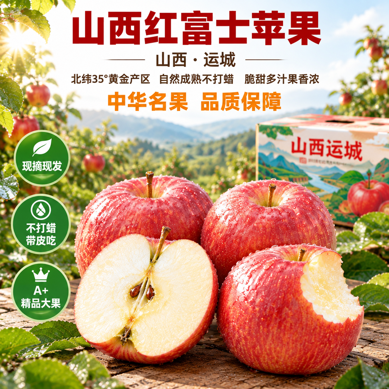 [主图-2] 清晨露水果园场景，突出山西红富士苹果新鲜水润与品… - 图片创意预览
