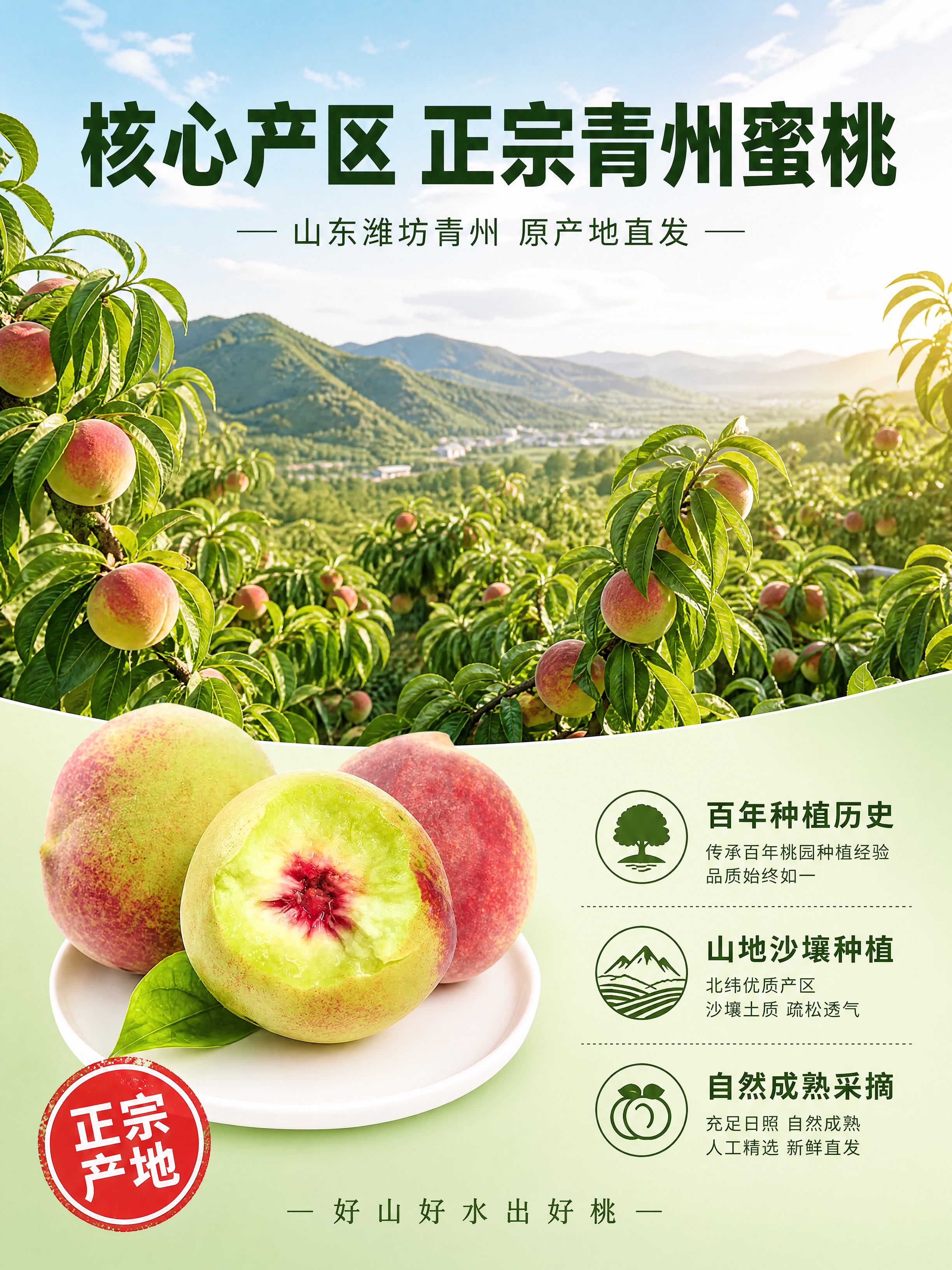 [第2张] 详情页产地溯源-山东青州桃园实景与产地优势。本张为… - 图片创意预览