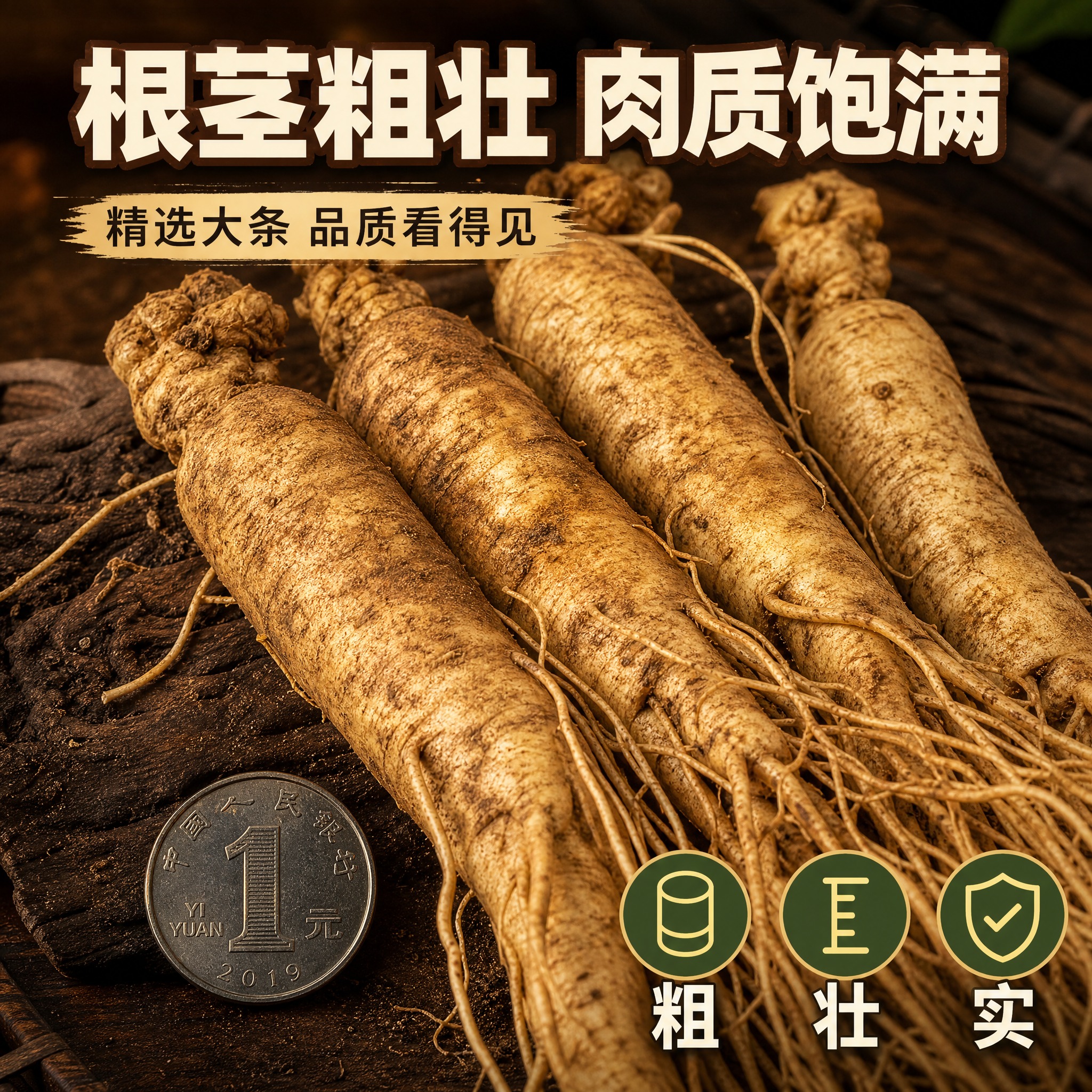 [主图-3] 云南臭参根茎粗壮细节特写图，核心任务是用微距特写… - 图片创意预览