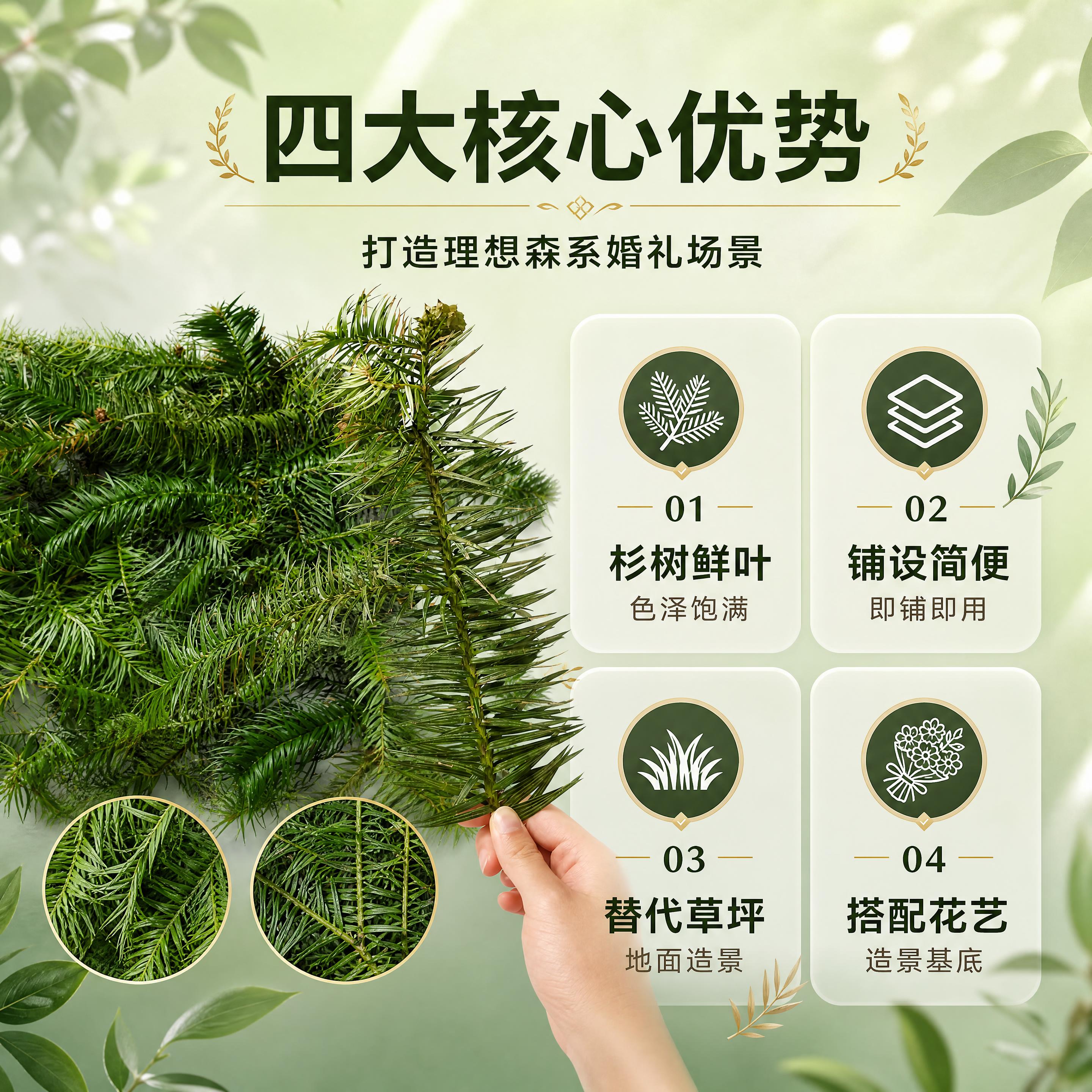 [商品] 使用【图2】【图5】新鲜杉树叶平方装；保留杉树鲜叶的… - 图片创意预览