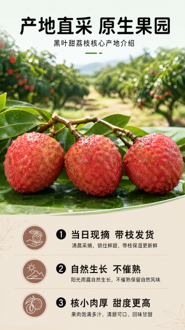 [第2屏] 产地直供展示屏-黑叶甜荔枝核心产地介绍。本屏使用【图1】作为荔枝主体参考，展示产品原产地优势。
[氛围/风格] 原生态乡村果园风，浅绿大地色系，真实自然摄影质感，突出新鲜产地优势。
[元素预览效果