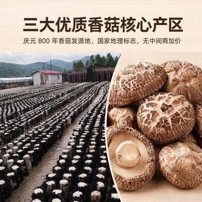 生成香菇宣传海报预览效果