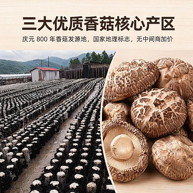 正方形 1:1 浅原木极简背景，左右分栏构图，左侧实拍浙江庆元香菇山林种植基地，右侧放大特写大朵干香菇；顶部主标题「三大优质香菇核心产区」，小字卖点文案「庆元 800 年香菇发源地，国家地理标志，无中间商加价」；排版均衡，突出源头产地优势，字体清晰锐利。
统一约束：统一阿里巴巴普惠体，无字体变形乱码，干净白底无杂物。「图片1」