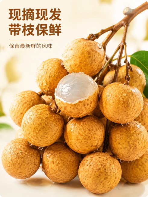 [第3屏] 整串带枝新鲜龙眼展示。本屏使用【图5】【图9】作为产品主体。
[氛围/风格] 新鲜水润特写风格，突出水珠和新鲜度，商业摄影清新质感。
[元素布局] 带枝龙眼占据画面中心，占比约70%，背景预览效果