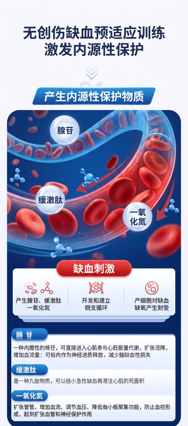 保留所有原始文字内容，不做任何修改，重新设计排版布局，更换血管红细胞插画内容和构图，保持医疗科普现代简约红蓝色调风格预览效果