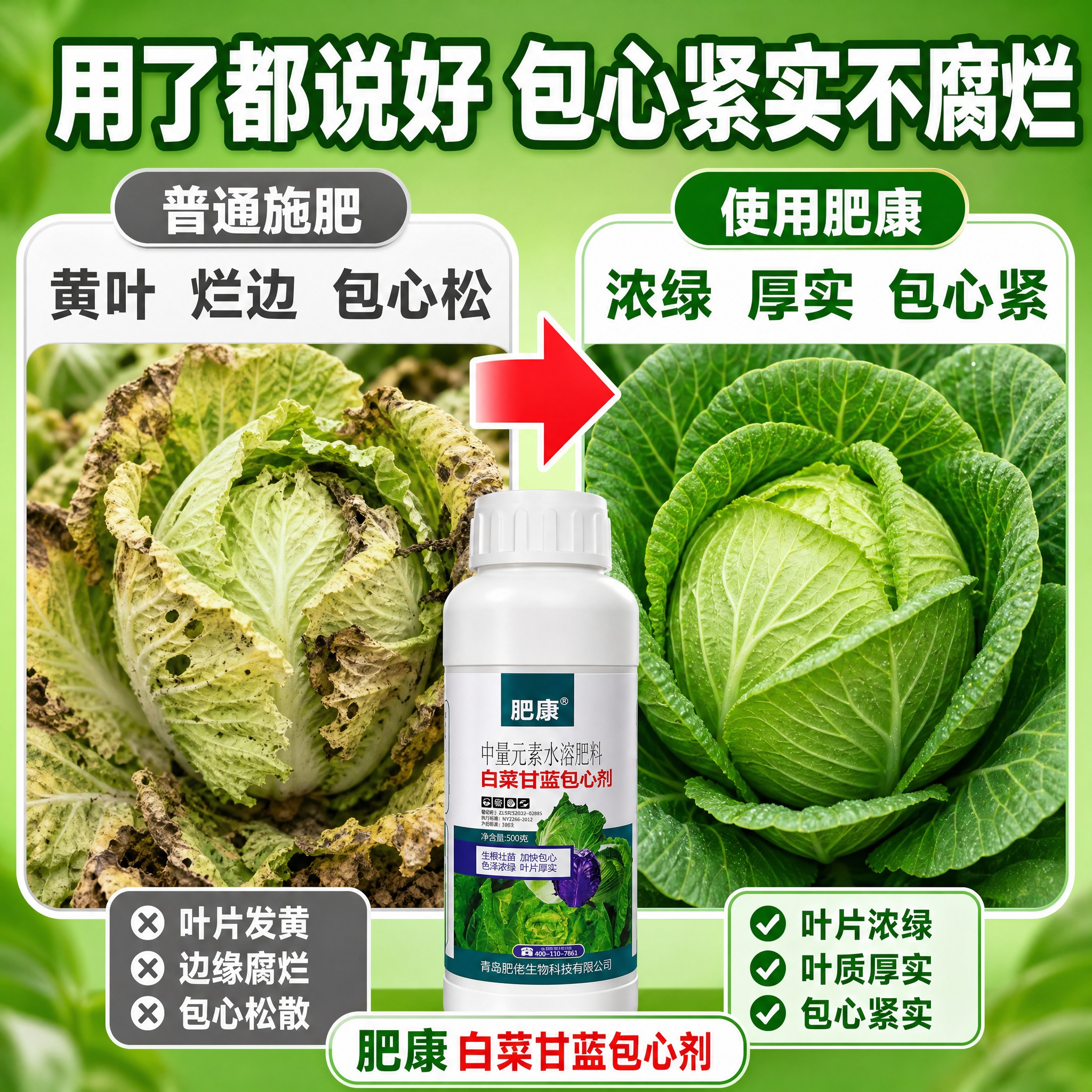[主图-2] 肥康白菜甘蓝包心剂 效果证明 防腐烂包心快对比图… - 图片创意预览
