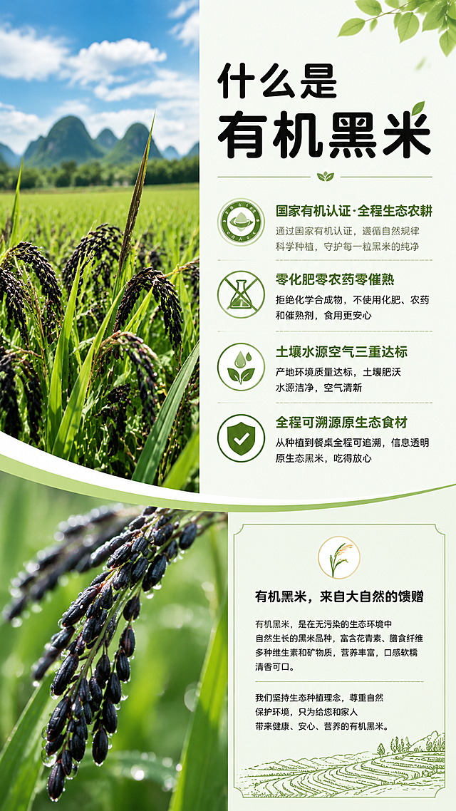 使用文案
（1）什么是有机黑米
有机黑米是国家有机认证、全程生态农耕的高端谷物。全程零化肥、
零农药、零催熟添加，遵循自然生长周期，土壤、水源、空气三重达
标，全程可溯源，是兼具安全性与高营养的原生态健康食材。
（2）有机黑米核心优势（数据化）
高抗氧化活性：富含高活性花青素，抗氧化能力是维生素 E 的 50 倍、
维生素 C 的 20 倍，人体吸收率高。
高密营养配比：含 18 种氨基酸、多种矿物质与膳食纤维，营养密度
远超普通杂粮。
极致食用安全：有机标准严苛管控，零农残、无重金属超标，全人群
可安心食用。
口感品质优越：米粒紧实饱满，蒸煮米油丰厚、软糯香浓，原生谷香
浓郁。
（3）有机黑米 VS 普通黑米
种植标准不同：有机黑米实行三年土壤净化、无化学农资；普通黑米
为常规种植，允许合规农资使用。
营养含量不同：有机黑米花青素、硒元素、氨基酸含量，高出普通黑
米 3 倍以上。
安全等级不同：有机黑米零残留、全程可溯源；普通黑米存在微量农
残、品质不稳定问题。
口感品相不同：有机黑米色泽通透、米香醇厚；普通黑米色泽暗沉、
口感干涩清淡。
（4）有机黑米甄别方法
查认证溯源：带正规有机标识、一物一码溯源编码，官方可查。
观外观色泽：米粒乌黑透亮、颗粒均匀、内里洁白，无人工染色暗沉
感。
测浸泡状态：清水浸泡析出通透淡紫色花青素，水质清澈不浑浊。
品蒸煮口感：煮熟软糯粘稠、米香纯粹，无酸味、无杂味。
（5）洋县有机黑米专属核心优势（数据化地域亮点）
洋县拥有 2600 余年黑米种植历史，是国家地理标志原产地、朱鹮核
心生态保护区。
生态稀缺：依托秦岭富硒沃土、汉江活水灌溉，全域长期严控化肥农
药，形成国内稀缺的朱鹮共生型零污染农耕产区。
营养突出：产区土壤硒含量为全国均值 5 倍，黑米花青素含量高达
564μg/g，营养活性领先同类产品。
品质权威：自古为宫廷贡米，种植规模大、有机认证标准高，是陕南
地标性绿色有机农产品。
4.配图硬性要求
全文 5 大板块，每个板块必须独立搭配 2张高清匹配图片
有机黑米整体生态种植图
黑米营养食材细节实拍图
有机黑米与普通黑米对比图
黑米真假鉴别细节图
洋县秦岭、朱鹮生态产区风光图
可适当添加氛围动图、装饰元素，提升画面质感。
要求：无水印、无模糊、不变形、高清商用质感
5.图文排版 + 新媒体传播核心评分标准
风格统一：全篇色调、版式、字体统一，生态绿色高级风，无杂乱混
搭。
排版专业：标题层级分明、字体字号统一、行间距舒适、段落分布均
匀，符合新媒体阅读规范。
图文高度匹配：图片贴合段落内容，不跑题、不乱配，图文逻辑一致。
视觉美感达标：画面干净整洁、疏密得当、重点突出，无拥挤、无空
白失衡。
传播性达标
整体版式适合朋友圈、公众号、社群直接转发，颜值高、可读性强、
种草效果强，具备商业宣传传播价值。
商业属性达标：整体呈现品牌科普调性，高级、简约、正式，符合农
产品新媒体商业推广标准。