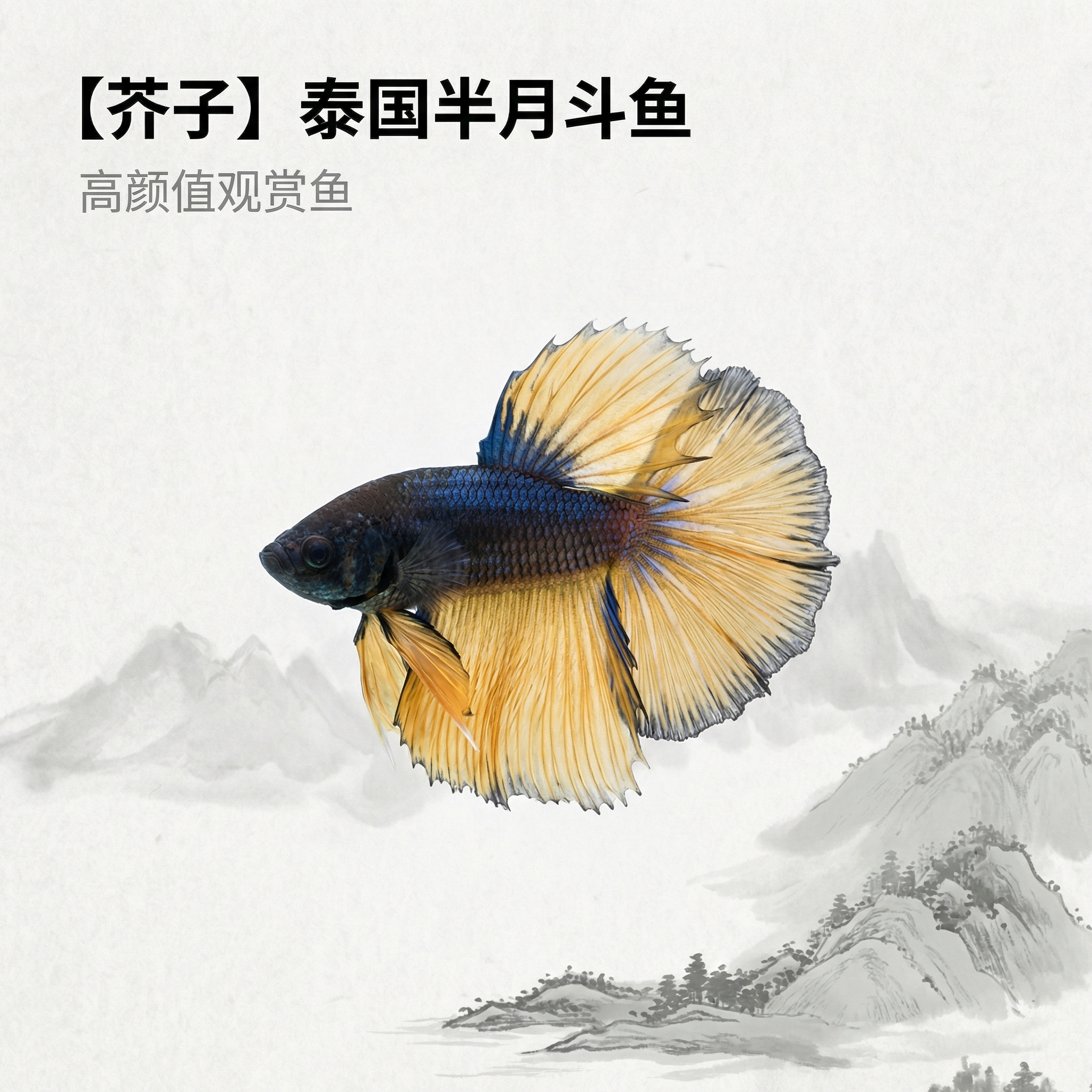 创意预览图