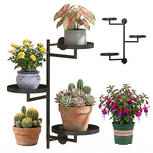 将图中的所有盆栽和花朵替换为其他不同品种的盆栽花卉，保持花架和背景不变