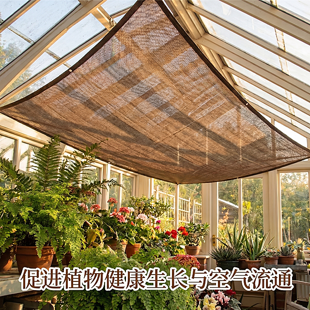 将图片中的Promotes Plant Health & Air Exchange改为促进植物健康生长与空气流通，字体、排版和颜色均保持不变，其余内容不变