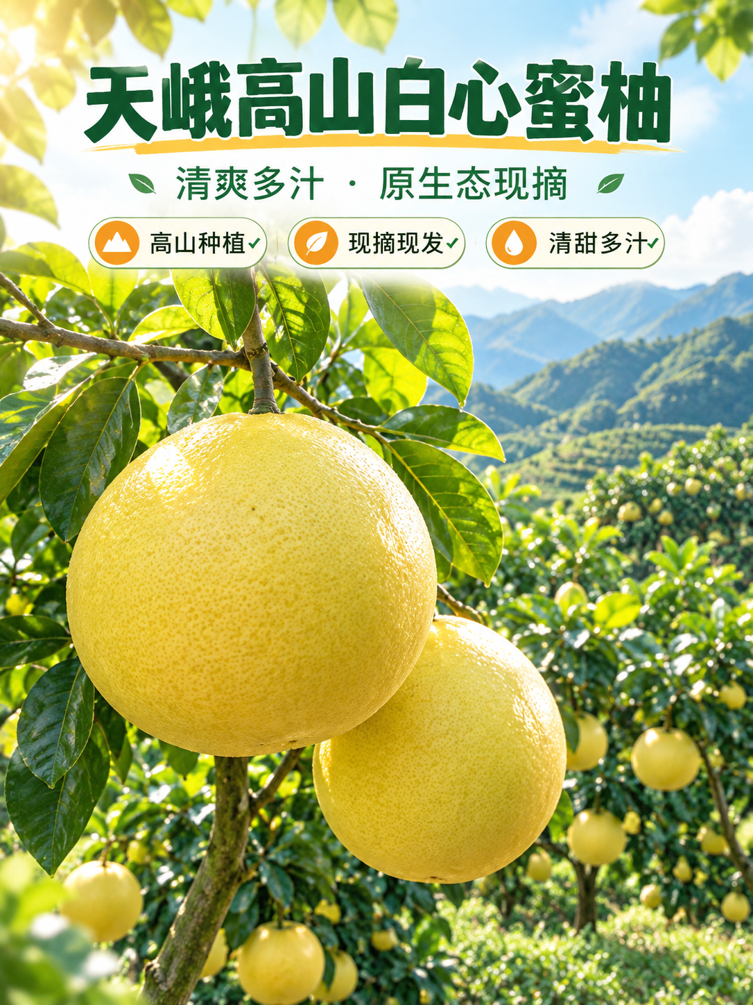 [商品] 使用【图1】高山果园挂果蜜柚、【图3】蜜柚挂枝特写；… - 图片创意预览