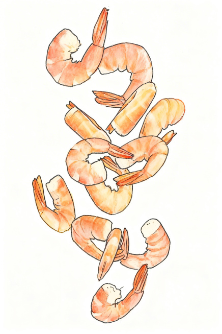 将这张虾仁图片转换为有拙味的儿童手绘风格插画，线条稚嫩，色彩明亮柔和，充满童趣手绘感预览效果