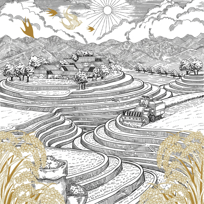 将插画中心画面修改为层次分明的梯田，保持原插画的黑白线稿雕刻风格，金色麦穗和燕子装饰元素风格一致，细节保持一致预览效果