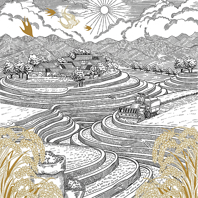 将插画中心画面修改为层次分明的梯田，保持原插画的黑白线稿雕刻风格，金色麦穗和燕子装饰元素风格一致，细节保持一致