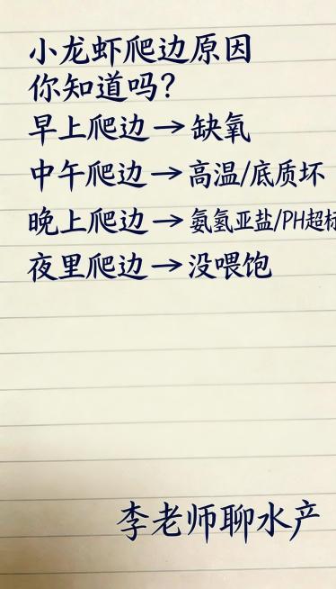 参照图片字体和颜色，替换内容为"小龙虾爬边原因
你知道吗？ 早上爬边 → 缺氧中午爬边 → 高温/底质坏晚上爬边 → 氨氮亚盐/PH超标 
夜里爬边 → 没喂饱 
李老师聊水产"，要求排版布局合理，一预览效果