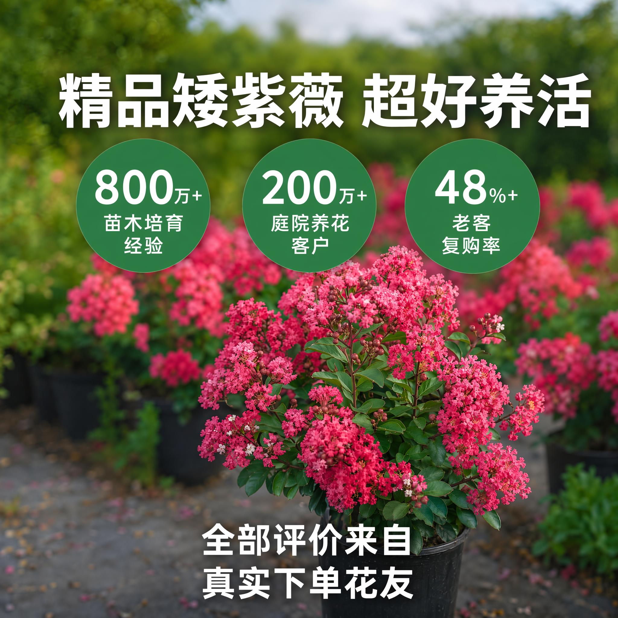 去除图片左上角的HEYDEIR和海蒂的花园文字，保留其他内容和… - 图片创意预览