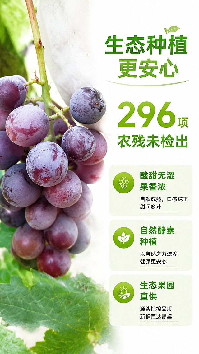 「图片1」，生成详情页，商品名称为善德生态葡萄
【产品特点】
酸甜可口无涩感，果味浓郁自然香
296项农残未检出
【产品信息】
产品名；葡萄2.5kg
净含量：2.5kg
品种：巨峰/阳光玫瑰
生产方：偃师市缑氏镇林村善德葡萄生态家庭农场
产地：河南省洛阳市偃师区缑氏镇唐僧寺村2组
【生产方式】
底肥以发酵羊粪肥为主，多种饼肥发酵追肥（花生饼、菜籽饼、芝麻饼、油榨、玉米渗、麦渗、麦麸、花生壳用红糖水酵素堆制发酵）
功能酵素防虫防病（大蒜、青蒿、皂角、辣椒、花椒）
鸡蛋壳酵素补充中微量元素
波萝皮、胡萝卜酵素增色增香
蜂巢酵素促花保果
【储存方式】
收货后请尽快食用，未食用完请冷藏保存
【购买须知】
1.生鲜品质量问题请于签收后24小时内反馈，需提供问题产品和快递面单照片，按比例售后，超时反馈不售后 
2.生鲜品在运输中会有水份蒸发流失，收到后重量可能会减轻，重量差异<4%不售后 
3.各产地、季节、地块，口感会有所不同，个人口感问题不售后
4.生态有机产品可能会有虫眼、疤痕、开裂、畸形等现象，介意慎拍 
5.下雨天气等特殊情况，发货可能会延迟，尽请谅解 
6.收件信息不详以及拒收造成的损失不售后
7.生鲜品发货后不支持退单及修改收件地址，如顾客坚持改地址，由此产生的转寄费用及损失顾客自担
【产地故事】
2015年，开始生态种植葡萄
2015-2018年，土壤及果园生态调整期，各种病虫害爆发损失惨重，“内忧外患”，丈夫不理解，周边人也颇多非议
2022年，学习华夏农耕酵素农业技术，制作各种酵素运用到果园管理中，病虫害逐渐退却，葡萄品质逐步提升
适配淘宝/天猫平台，单图比例为9:16，需求屏数为8张。「图片1」「图片1」「图片1」「图片1」「图片1」「图片1」请使用电商详情页技能
