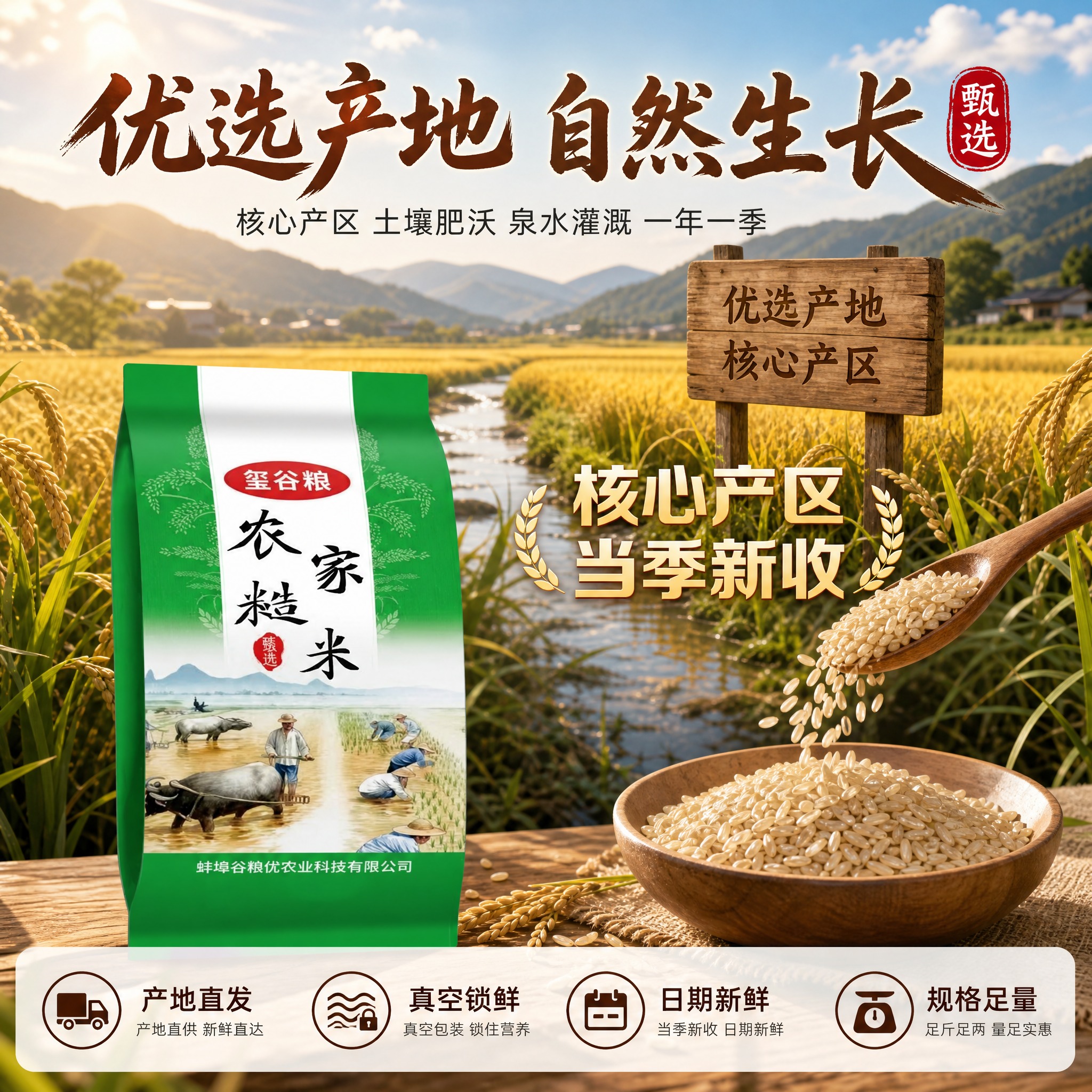 [主图-2] 玺谷粮农家糙米 产地溯源 优选产区 品质信任图。… - 图片创意预览