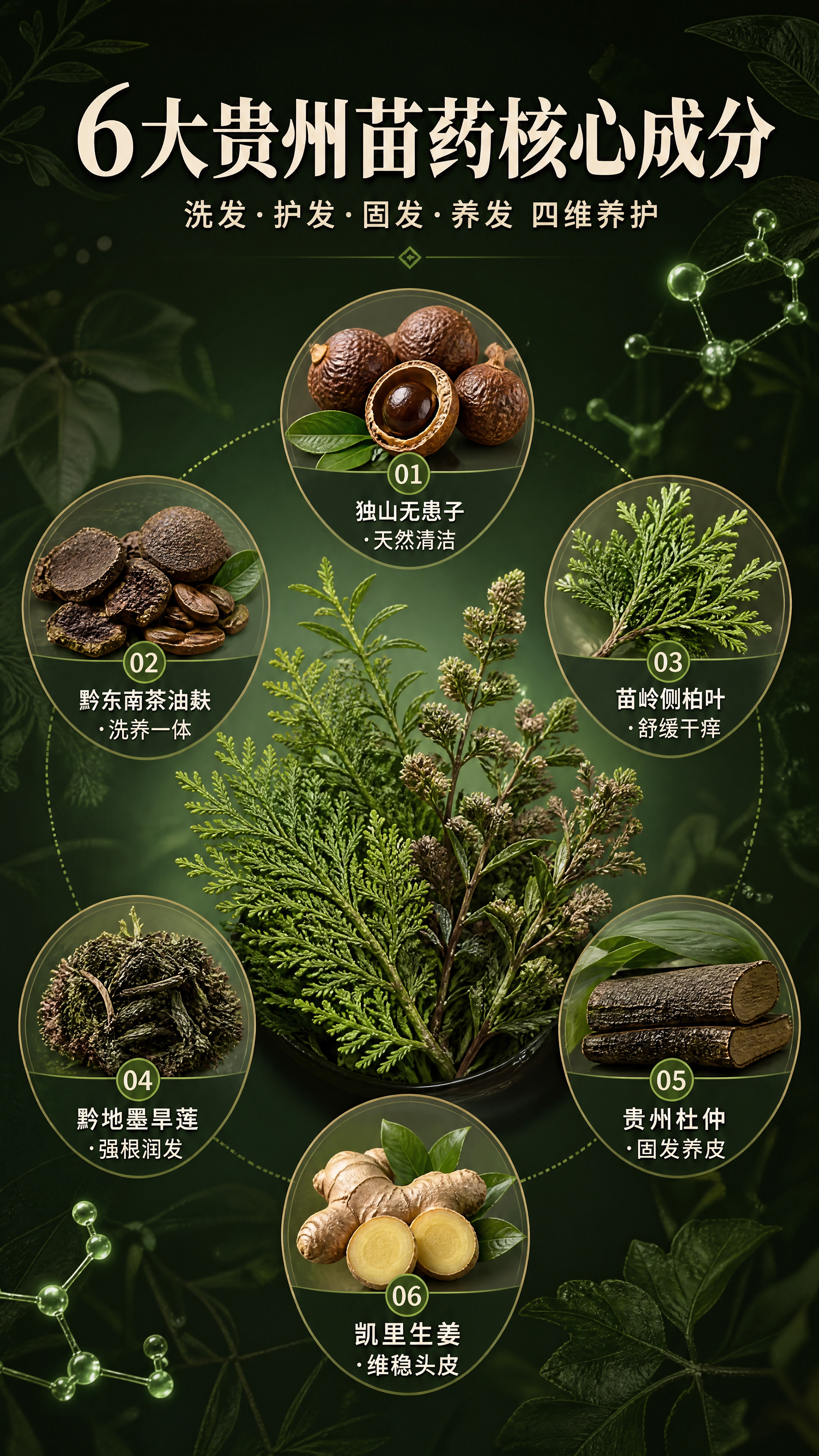 [商品] 成分机理专页，无需垫产品图；以6大贵州苗药草本原料为… - 图片创意预览