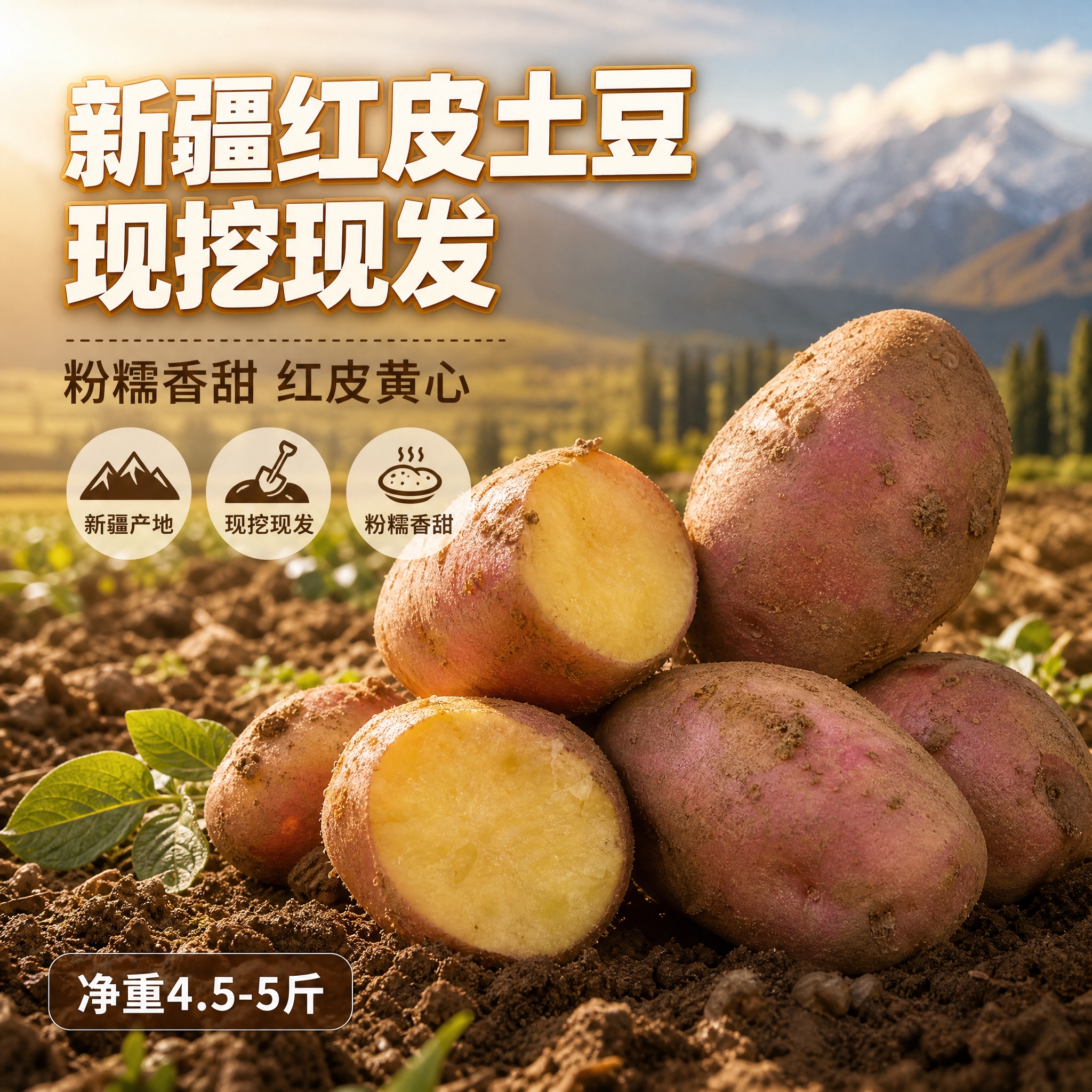 [主图-1] 首图点击率 新疆红皮土豆 现挖现发 粉糯香甜 [… - 图片创意预览