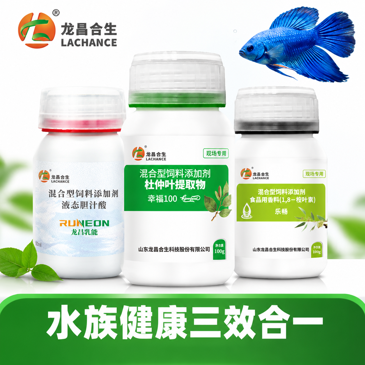 [主图-版本1] 水族套餐产品组合创意图，简约风格，与首图尺寸… - 图片创意预览