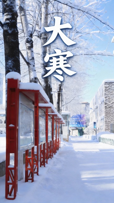 把大寒两个字加上，用对比度比较明显的颜色，但是要符合大寒的节气，让人感觉到很寒冷预览效果