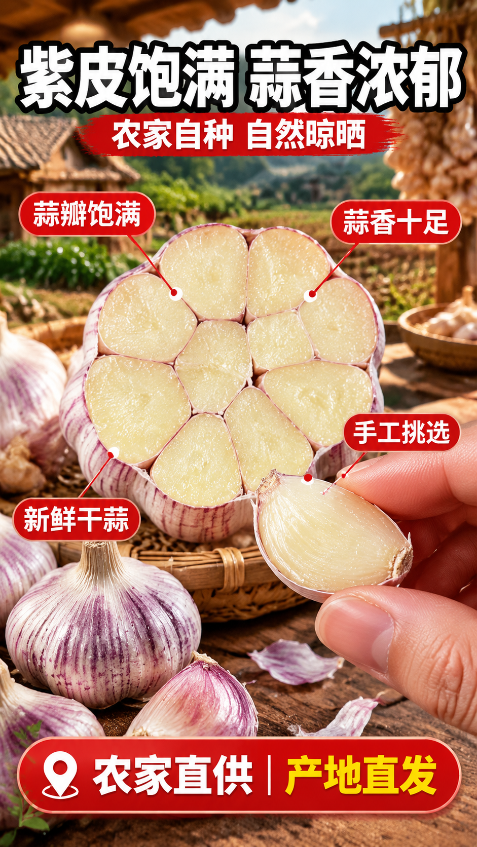 [商品] 使用【图1】紫皮农家新干蒜；保留紫白皮纹理、蒜瓣切面… - 图片创意预览