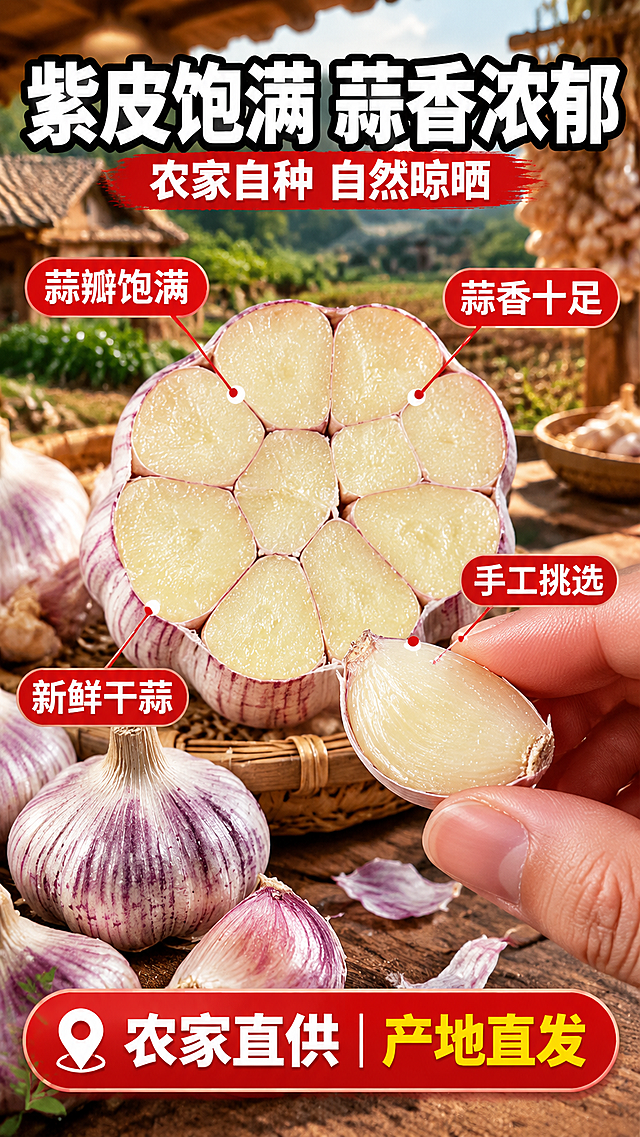 [商品] 使用【图1】紫皮农家新干蒜；保留紫白皮纹理、蒜瓣切面结构、乳白蒜肉、饱满颗粒形态、颜色和真实质感；增强切面细节与蒜肉水润感，不改变大蒜结构比例。
[画面] 目标为成分产地+质地特写页，原料微距满版构图，主体为放大的大蒜切面特写，占画面约50%，展示粒粒分明的饱满蒜瓣与细腻蒜肉纹理；周围散落整蒜、蒜皮、竹编簸箕，背景为虚化的农田/农家小院场景（占画面约30%），强化产地属性；前景有手部轻捏蒜瓣的动作，增加真实感；阅读动线从中心切面到四周产地元素。
[视觉] 套系策略：风格=拼多多接地气家常商业摄影；标题字=粗黑醒目黑体（大字报风格）；正文字=清晰黑体；主色=深紫+暖棕；背景延展=基于暖棕木色做深浅层级、同色渐变和质朴木纹/竹编/泥土质感；强调色=亮红色，仅用于小面积卖点标签和引线；标题色=白色+黑色描边；正文色=深棕黑；组件=圆角红底信息卡、粗线引线、产地标；光影=左前侧暖自然光，突出蒜肉切面的水润光泽与颗粒质感。
[文字] 顶部主标题「紫皮饱满 蒜香浓郁」，副标题「农家自种 自然晾晒」；切面周围用引线标注4个卖点：「蒜瓣饱满」「蒜香十足」「新鲜干蒜」「手工挑选」；底部产地标签「农家直供 产地直发」；文字全部横向排版，不遮挡核心切面；字号大，手机端清晰可读。
[规格] 图片比例9:16竖版，4K分辨率，避免变形、错字、文字过小、冷蓝背景、大蒜颜色改变、形态失真、极限词。