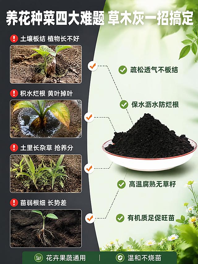 [第2张] 痛点直击页-养花种菜四大痛点对比草木灰解决方案。本张使用【图2】草木灰粉末作为右侧解决方元素。
[氛围/风格] 问题解决对比风，左侧痛点暗色调，右侧解决方案明亮色调，反差明显，商业摄影质感
[元素布局] 画面左右分栏对比。左侧痛点区（占45%）：深灰底色，展示四个养花种菜常见问题的小图格子——1.土壤板结发硬 植物长不好 2.积水烂根 黄叶掉叶 3.土里长杂草 抢养分 4.苗弱根细 长势差。每个小格子配对应场景图。右侧解决区（占55%）：明亮浅绿色背景，中央放着白瓷盘装的深黑色草木灰粉末（使用图2），粉末蓬松有质感。从草木灰向左侧四个痛点引出四条连线，每条线末端有对勾符号。背景点缀嫩绿叶片和小花。保持草木灰粉末颜色、质地、颗粒感与输入产品图2一致，瓷盘保持白瓷红边外观一致。
[光影质感] 右侧区域顶部柔光均匀照射，草木灰粉末质感清晰；左侧痛点区光线偏暗偏冷，形成对比；整体明暗层次分明
[配色色系] 全局左右分色，左侧 #555555 深灰底，右侧 #E8F5E9 浅绿底；主色深绿 + 深灰黑；辅助色橙色对勾、红色警示符号
[视角构图] 左右分栏对比构图，阅读动线从左到右，痛点 → 连线 → 解决方案
[文字版式] 顶部通栏大标题「养花种菜四大难题 草木灰一招搞定」，白色粗体大字。左侧每格痛点文字：土壤板结 烂根黄叶 杂草丛生 苗弱不长，白色字配红色感叹号图标。右侧对应解决文字：疏松透气不板结 保水沥水防烂根 高温腐熟无草籽 有机质足促旺苗，深绿色字配绿色对勾图标。底部小字：花卉果蔬通用 温和不烧苗。
[比例分辨率] 3:4 竖版比例，4K 分辨率，文字清晰可辨，高清画质
[负向提示词] 变形，水印，文字错乱，文字过小，产品图模糊，背景杂乱，除虫字样，电商平台Logo
