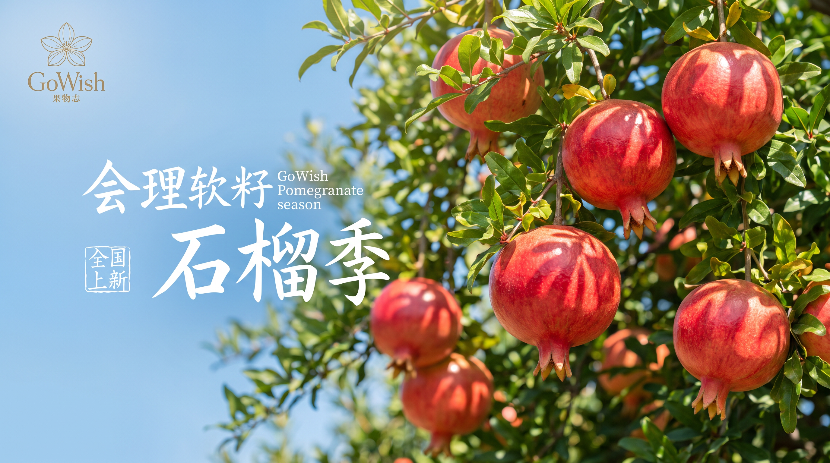 参考第一张图的清新自然风格和构图，将杨梅替换为饱满鲜红的会理软… - 图片创意预览