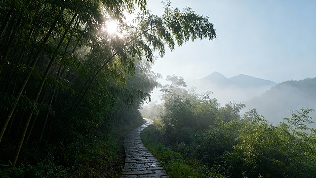 帮我生成20张风景的壁纸，包含各种场景或者植物特写，各种样式风格