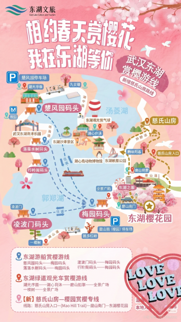 在现有东湖赏樱地图基础上，标注出慈氏山房到樱园的清晰路线，保留原地图风格和元素预览效果