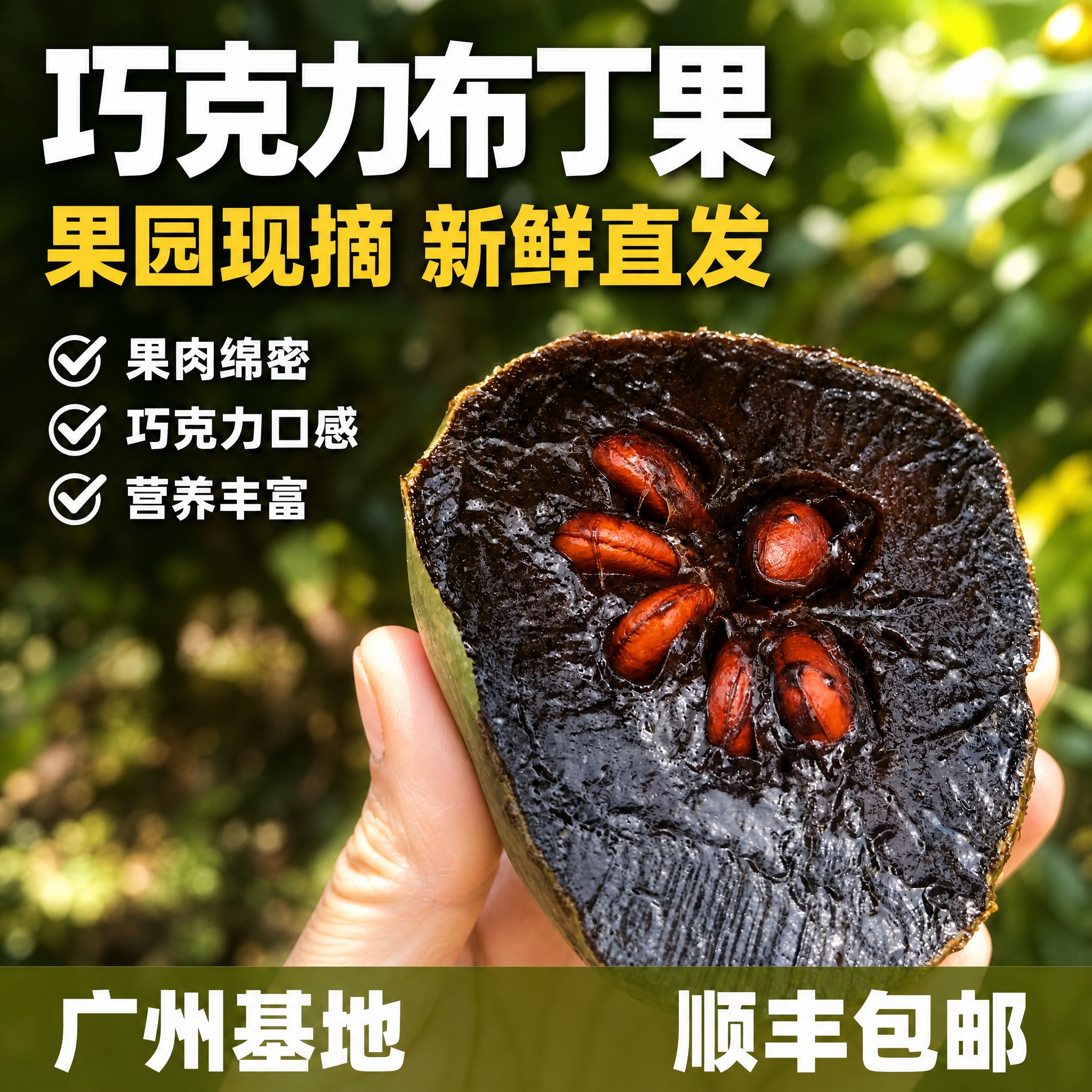 [主图5] 巧克力布丁果 拼多多爆款促销感主图 户外切面特写… - 图片创意预览