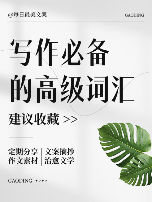 清新现代风写作必备高级词汇知识分享小红书封面预览效果
