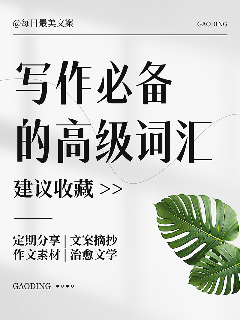 清新现代风写作必备高级词汇知识分享小红书封面